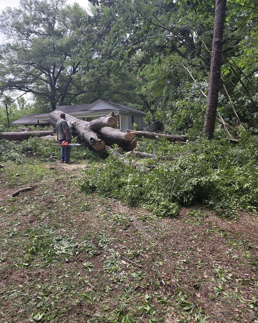 A man is standing next to a large tree stump in a yard.