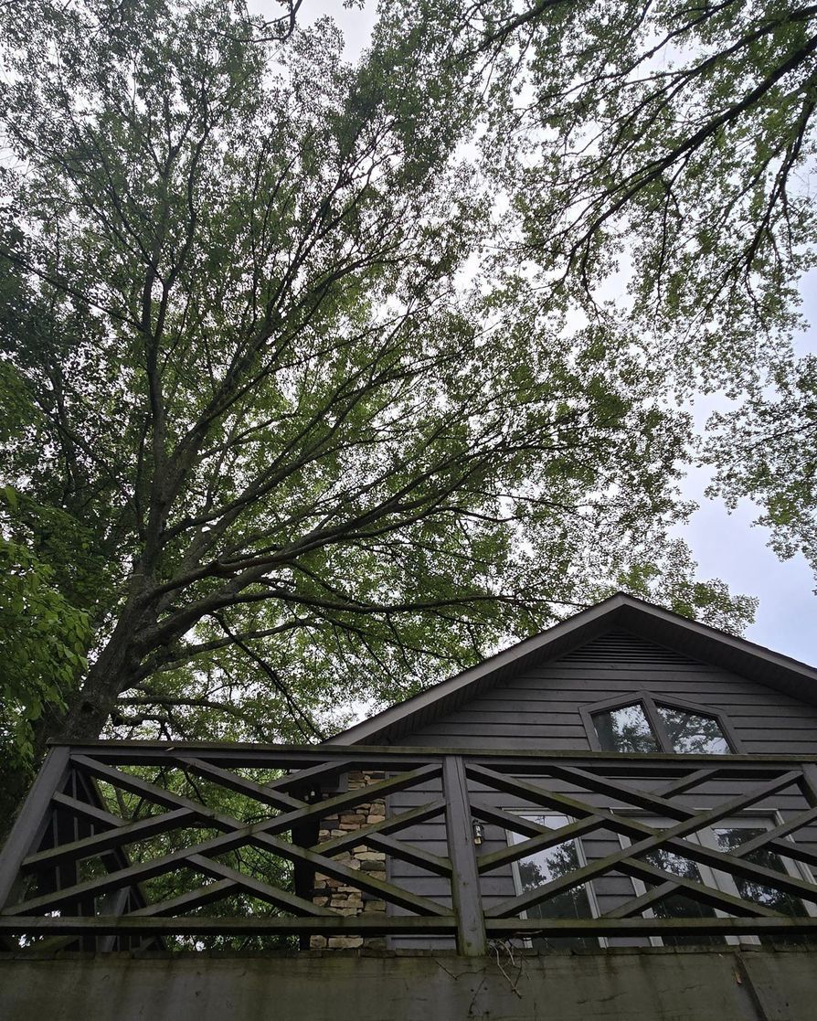 A house with a balcony and a tree in front of it.