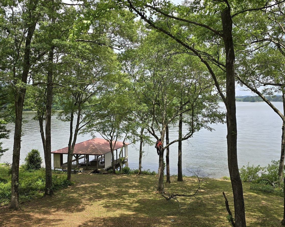 A gazebo is sitting on the shore of a lake surrounded by trees.