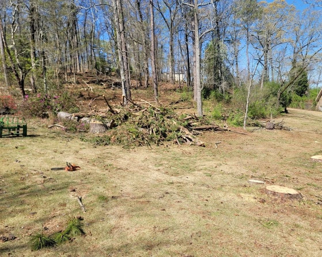 A field with trees and a stump in the middle of it.