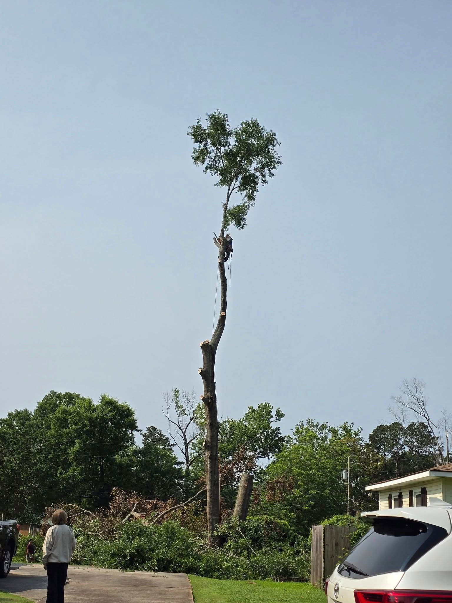 A man is climbing a tree in front of a white suv