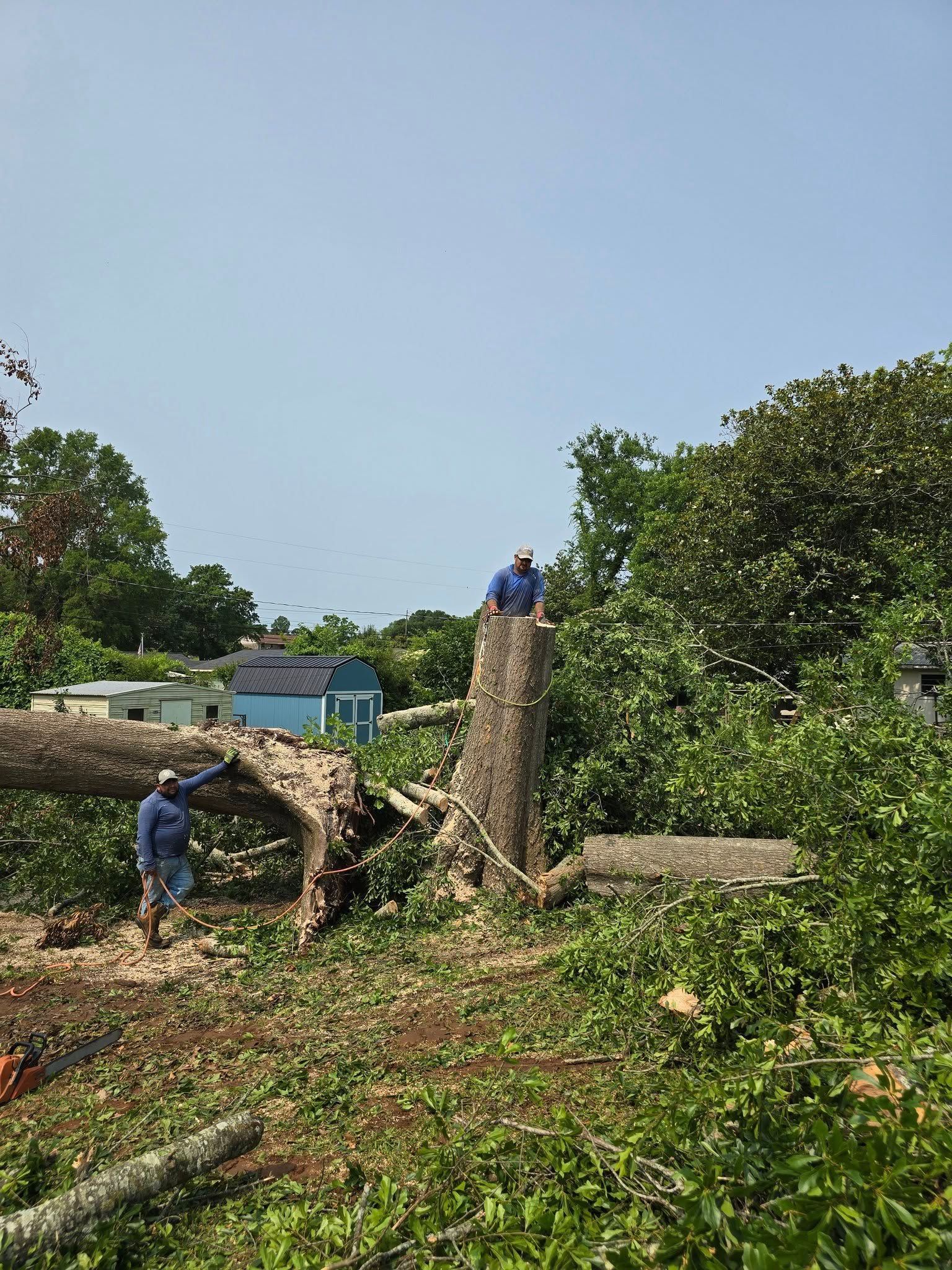 A man is standing on top of a tree stump in a field.