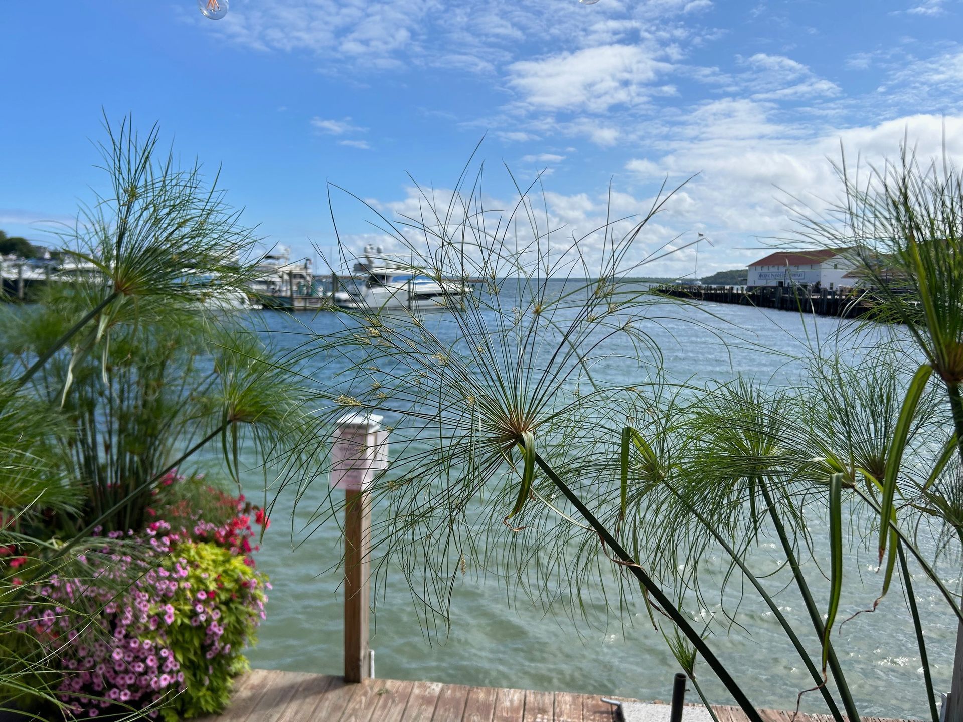 A dock overlooking a body of water with boats in the distance.