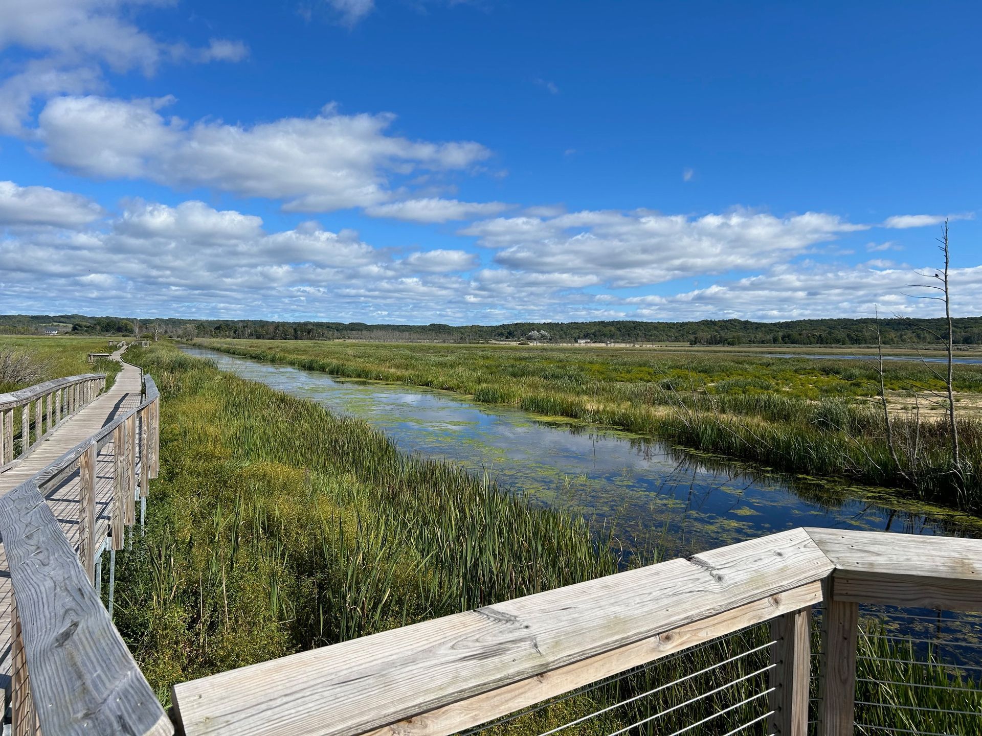There is a wooden bridge
