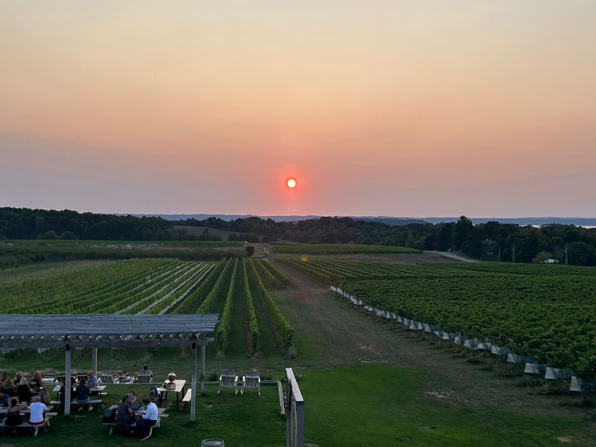 The sun is setting over a vineyard with people sitting at picnic tables.