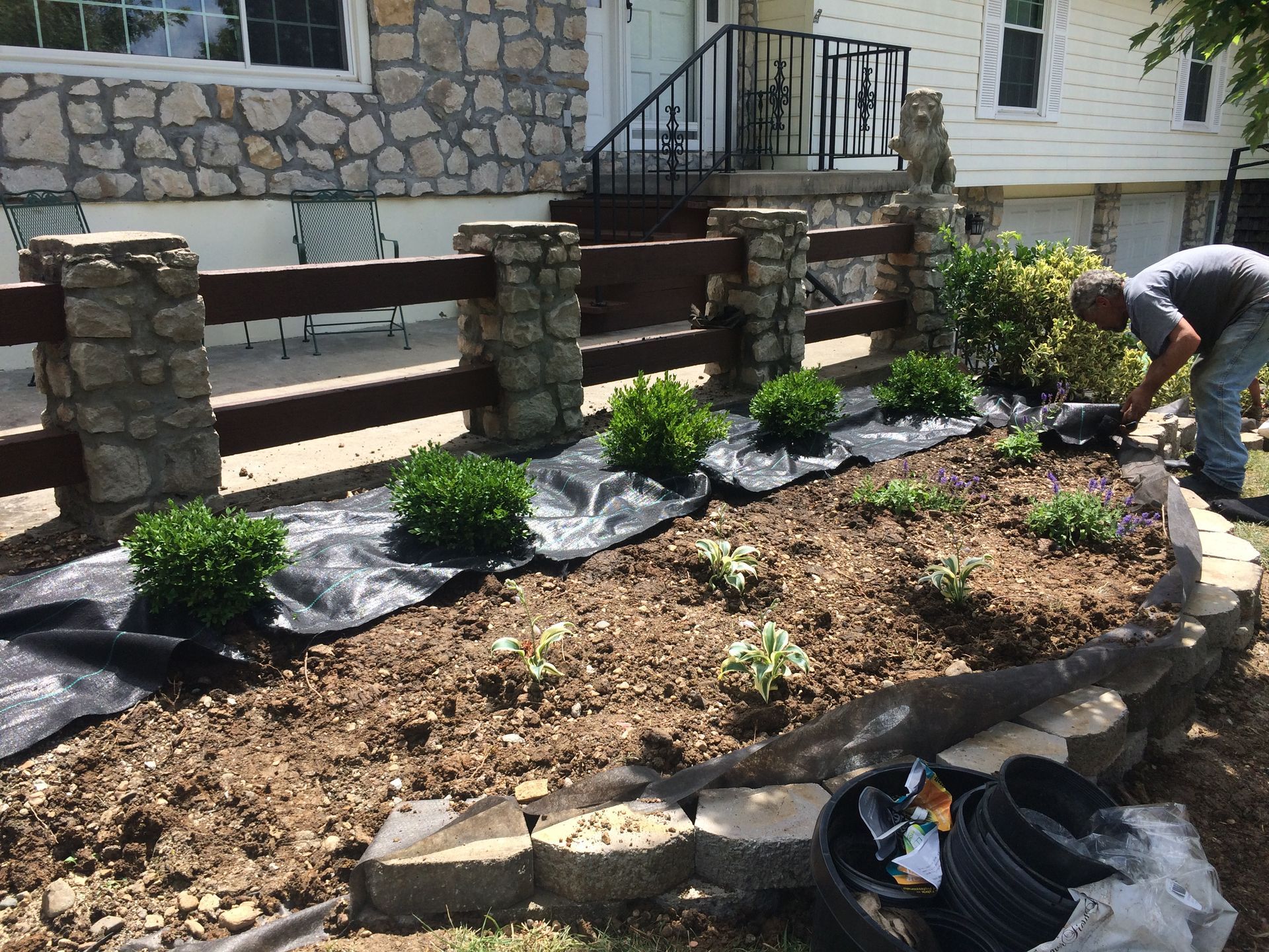 A person plants small shrubs in a mulched front garden bed next to a stone and wood fence.