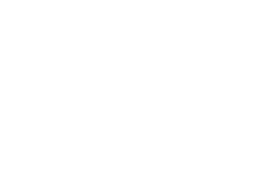 Projets STR logo blanc