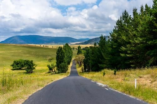 Road Going Through a Field With Trees on Both Sides and Mountains — Grants Express in Lithgow, NSW