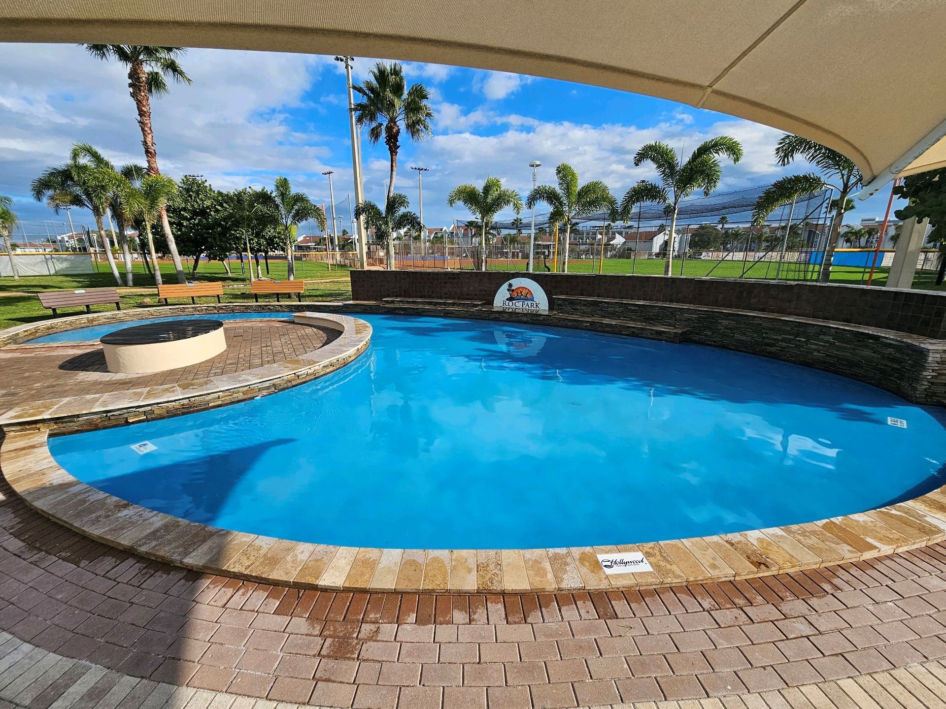 A large swimming pool with palm trees in the background