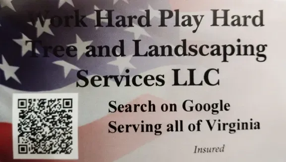 Business Card Business Card