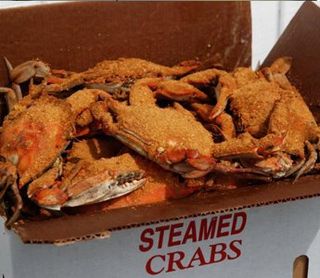 Bunch of Steamed Crabs — Crab Store in Wilmington, DE