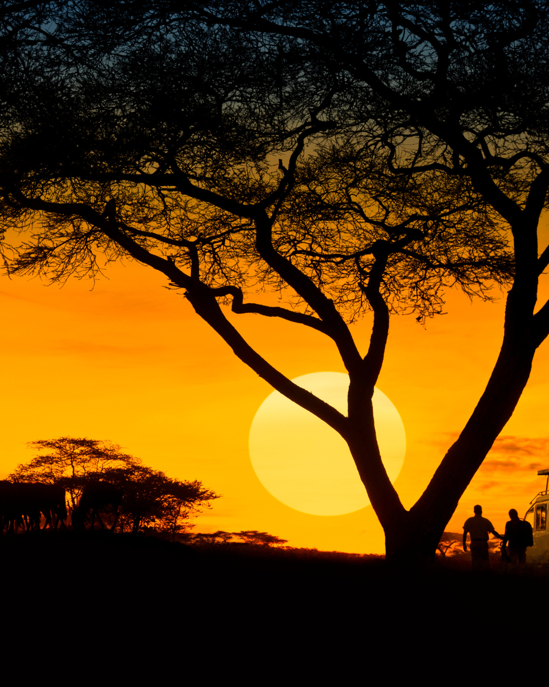 things to do in tanzania