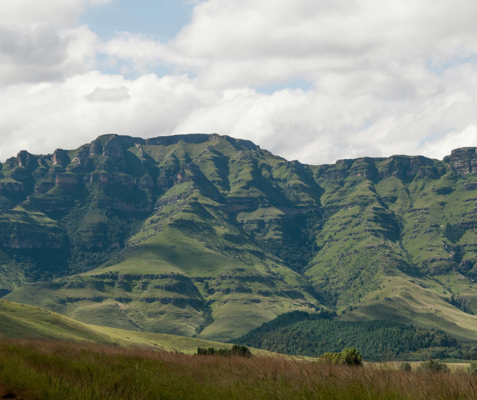 Reforestation in Africa