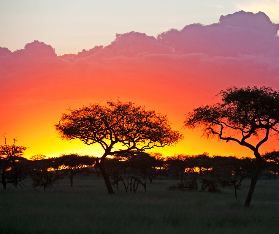 Serengeti National Park