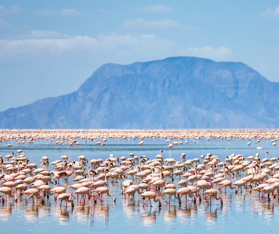 Lake Natron