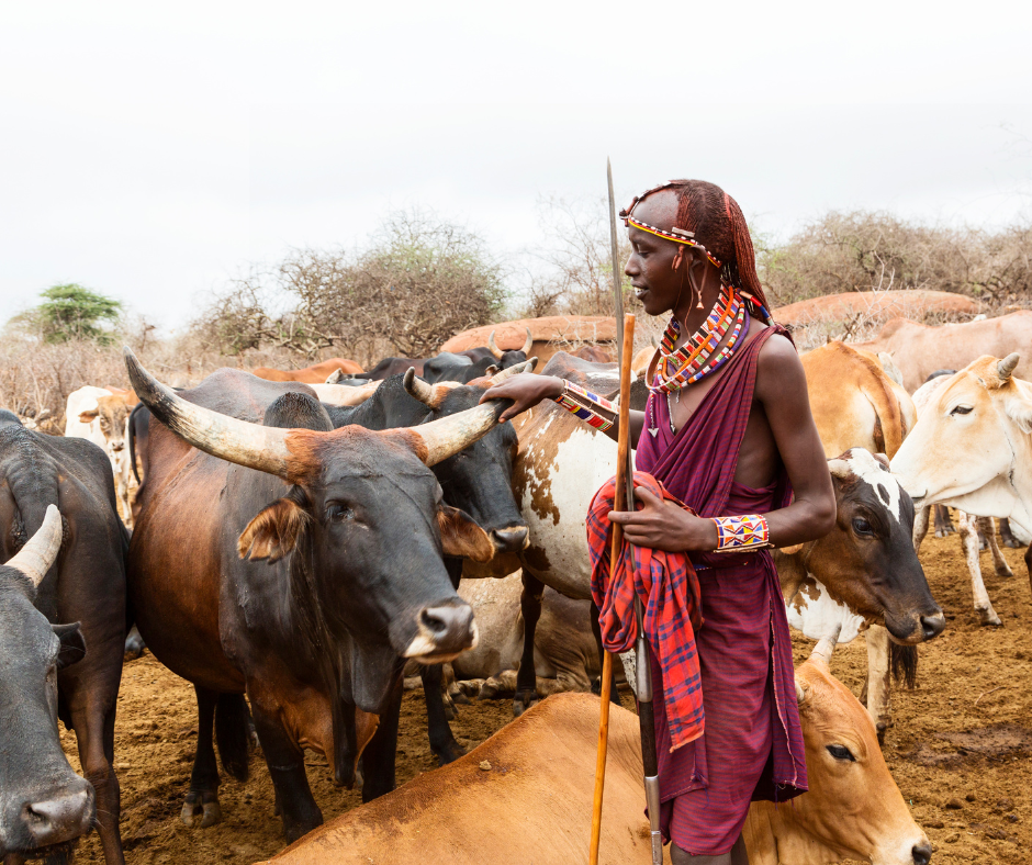 Maasai community