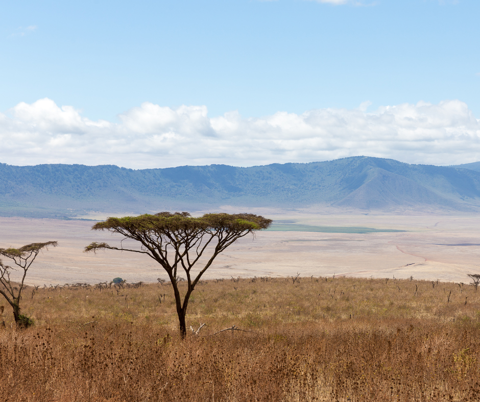 Tanzania's Ngorongoro Conservation Area