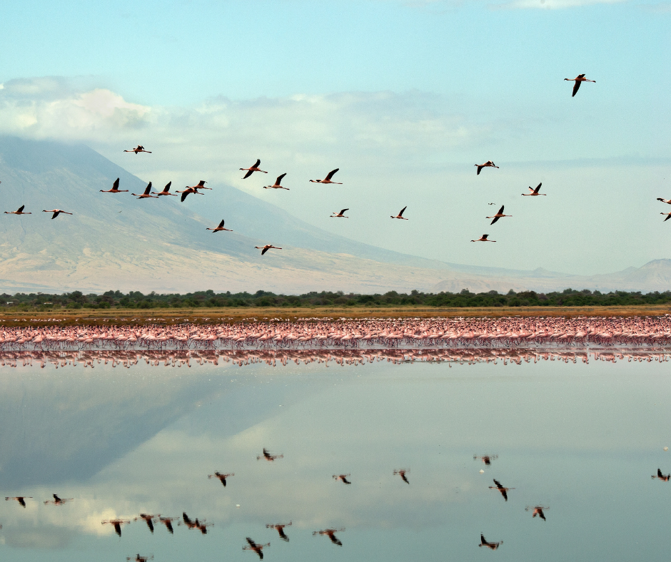 Lake Natron