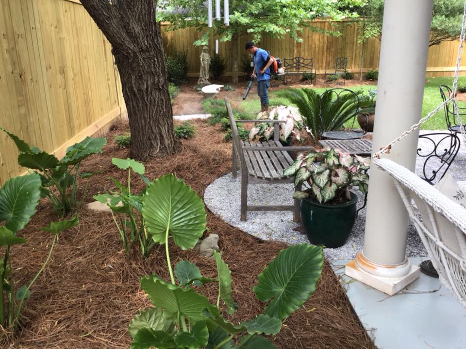 Gallery E Woolf Landscape Alexandria & Pineville, LA