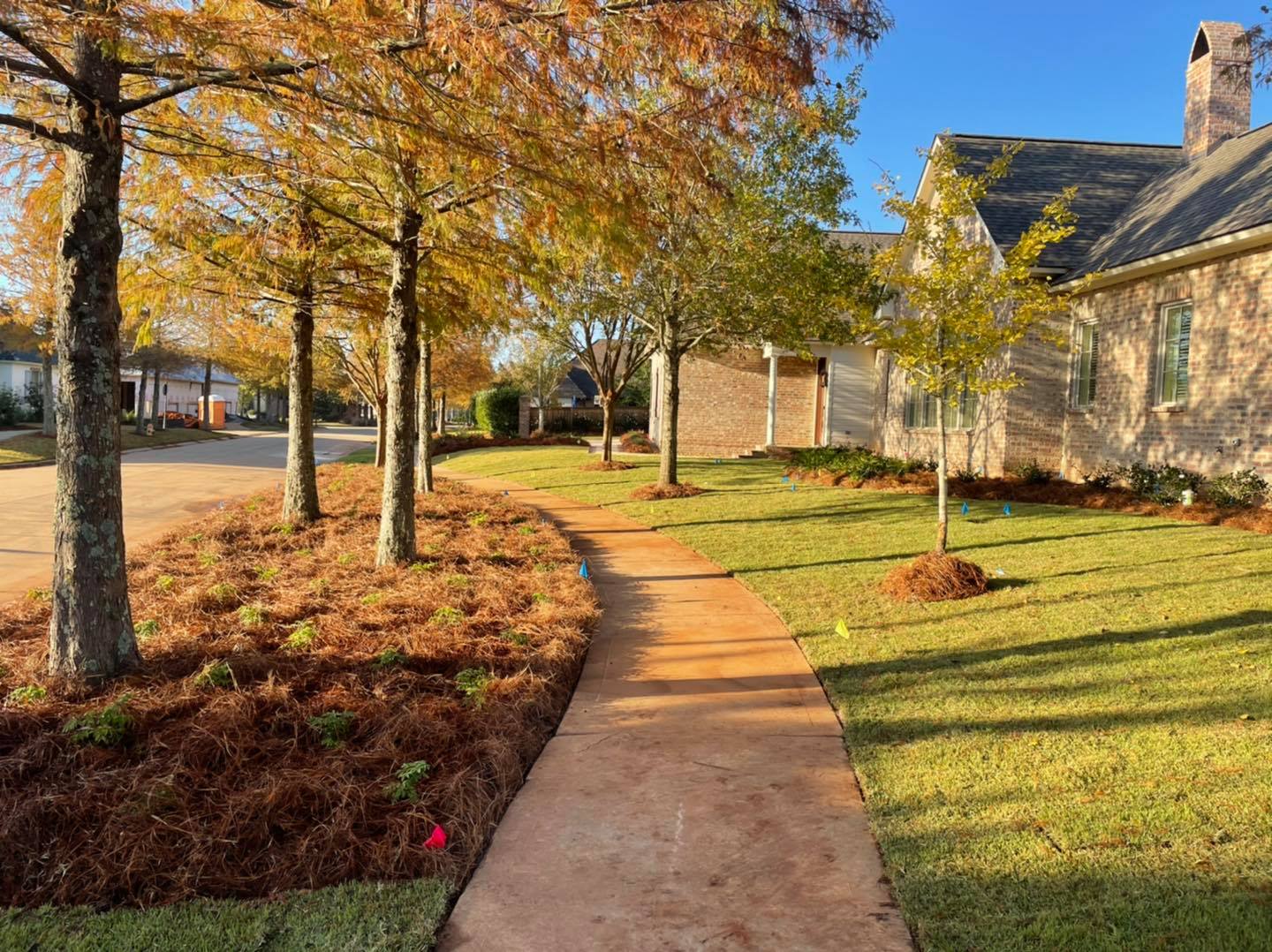 Gallery E Woolf Landscape Alexandria & Pineville, LA