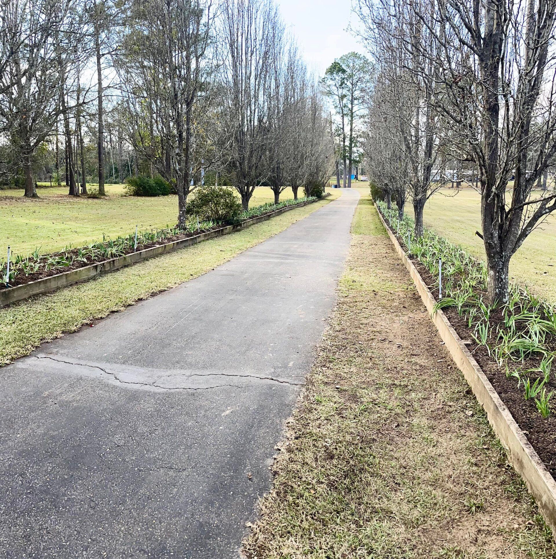 Gallery E Woolf Landscape Alexandria & Pineville, LA