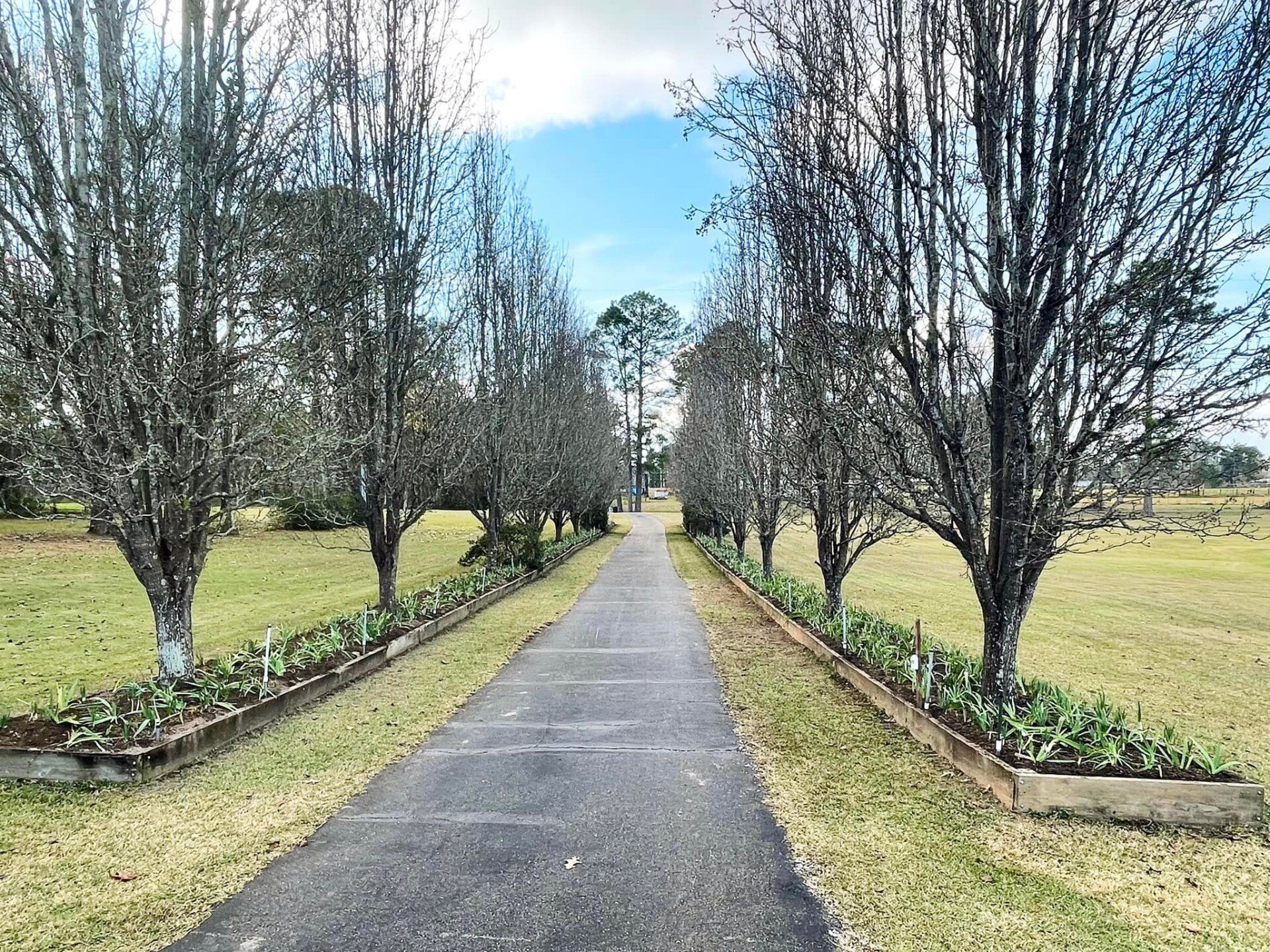 Gallery E Woolf Landscape Alexandria & Pineville, LA