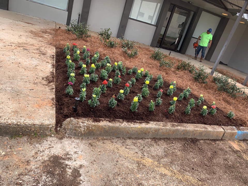 Gallery E Woolf Landscape Alexandria & Pineville, LA