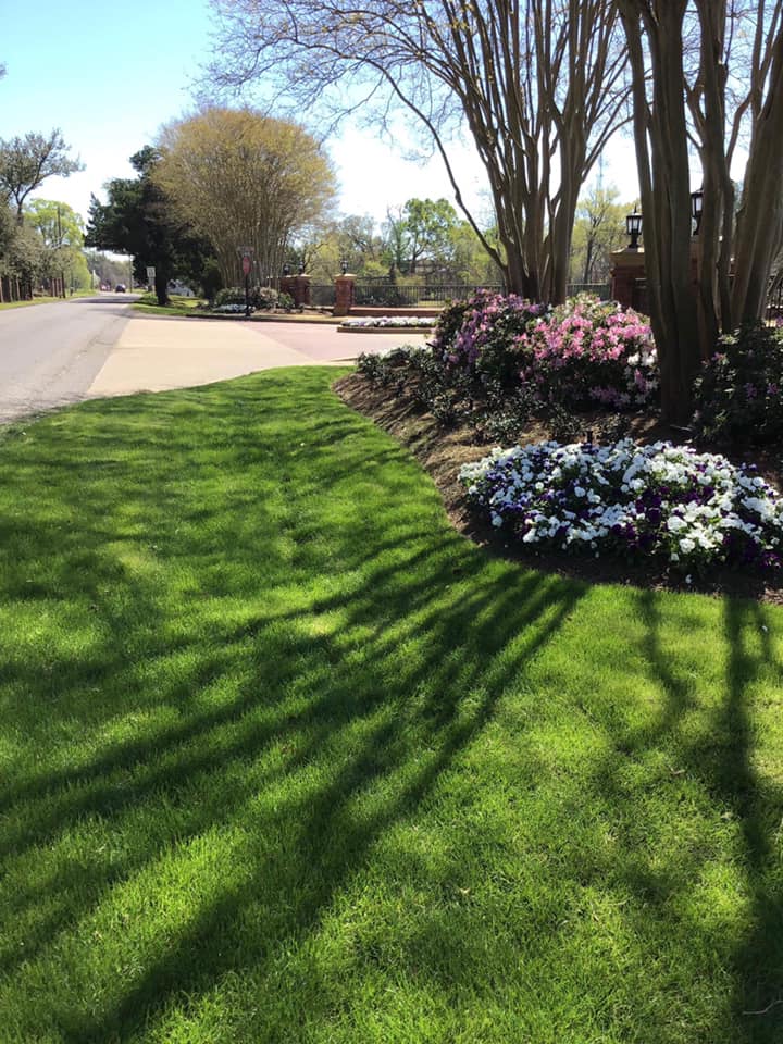 Gallery E Woolf Landscape Alexandria & Pineville, LA