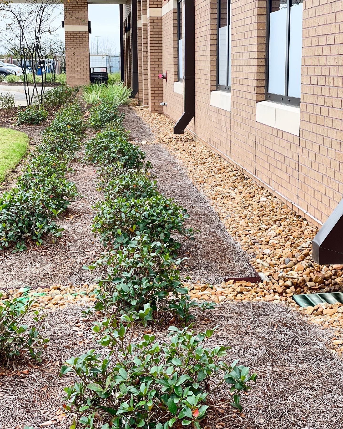 Gallery E Woolf Landscape Alexandria & Pineville, LA