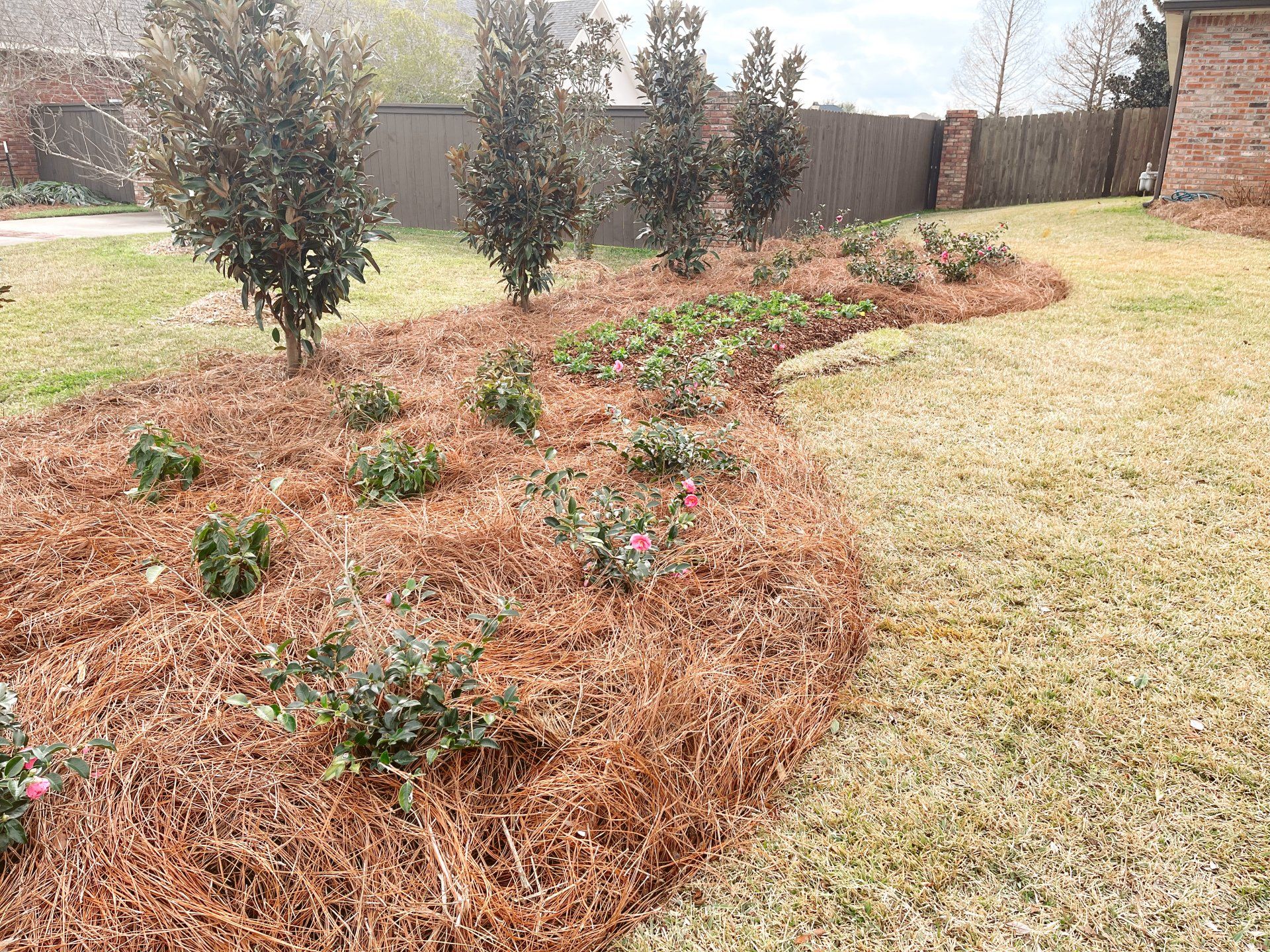 Gallery E Woolf Landscape Alexandria & Pineville, LA