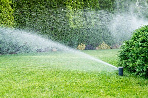 Irrigation System & Repairs
