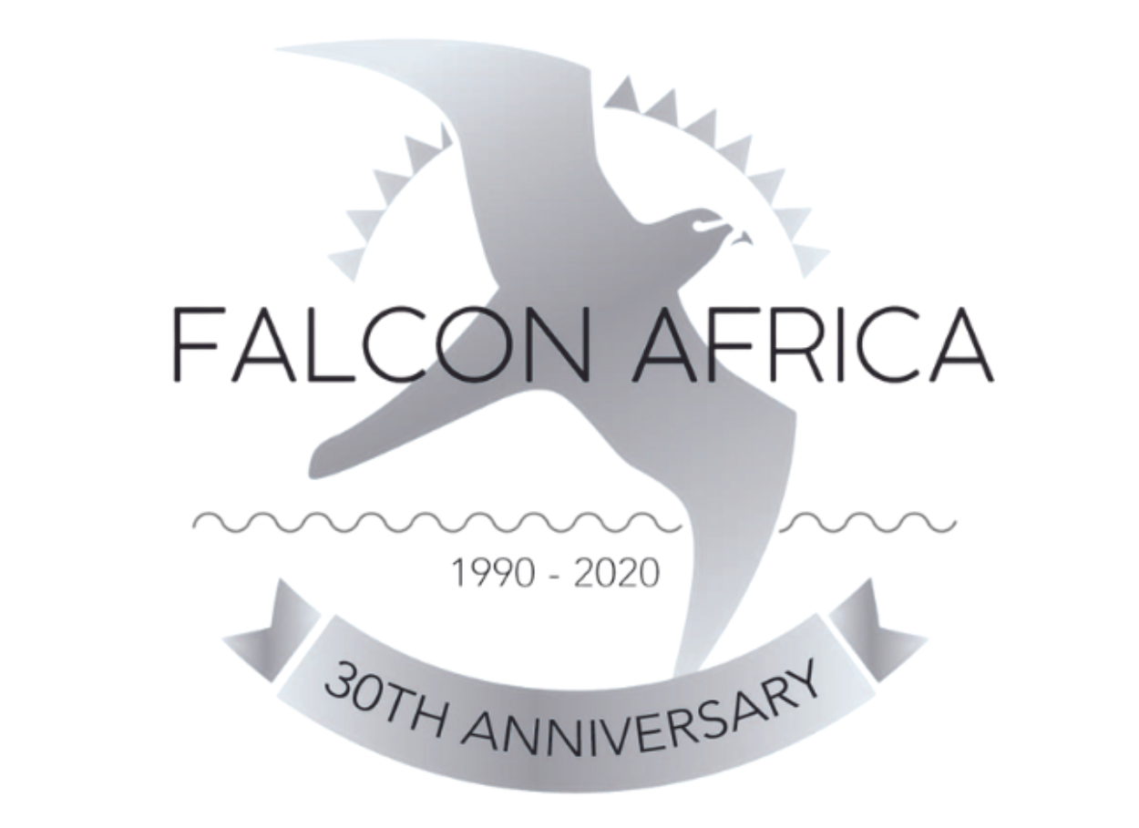 Silver logo for Falcon Africa, with a stylized bird in flight, text 