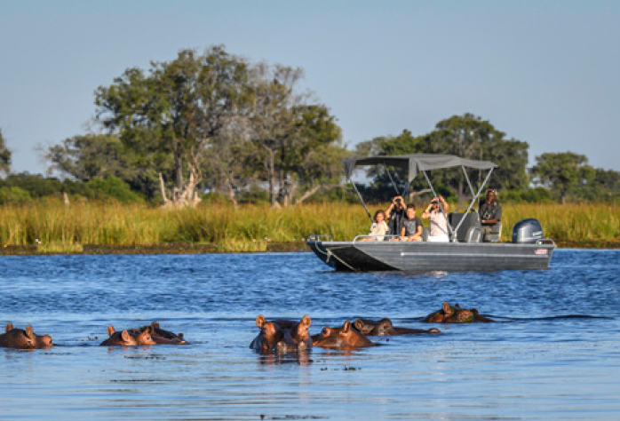 Boat with tourists observing hippos in a river, with green foliage and trees in the background.