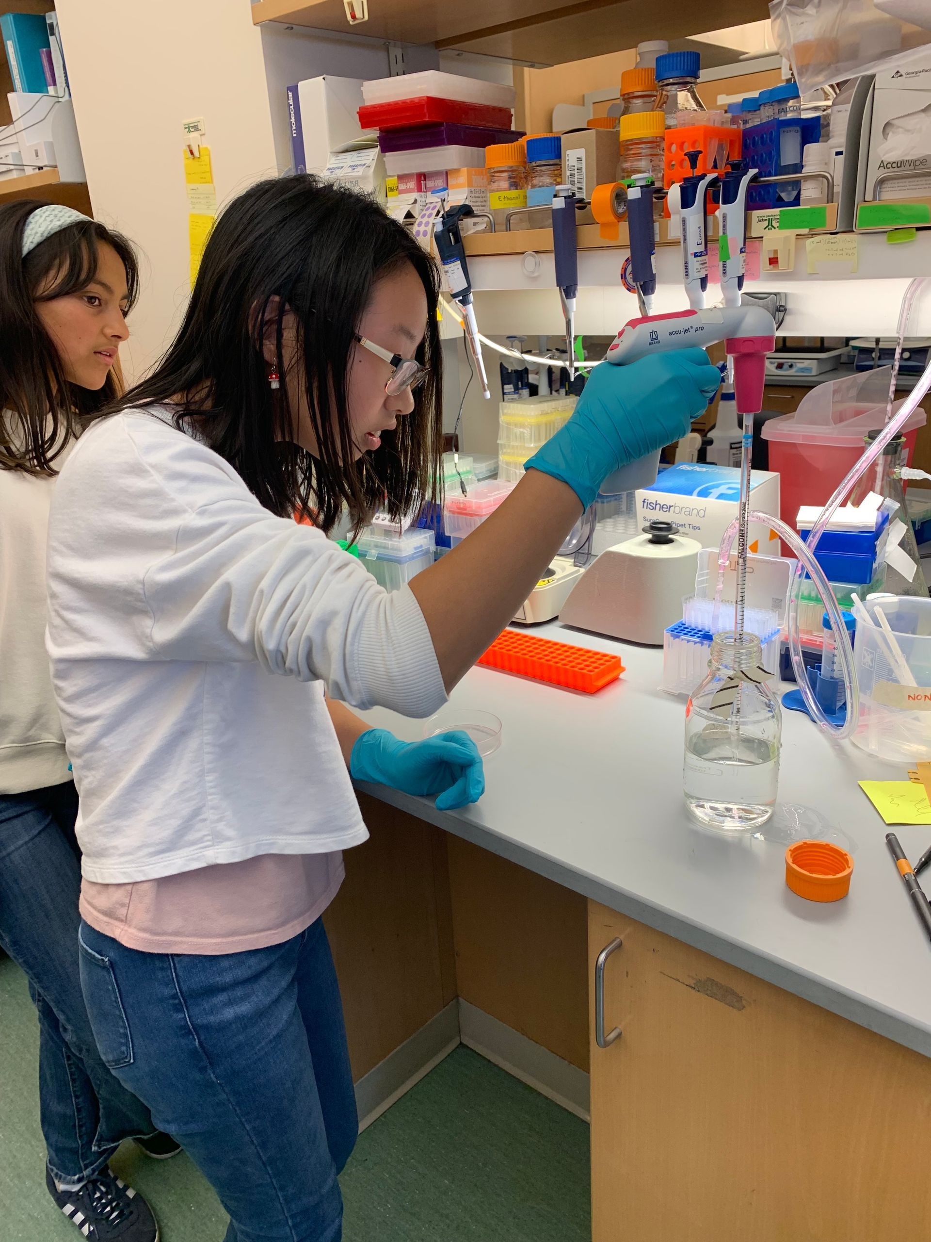 montessori children working with science activity