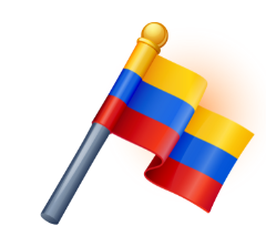 A Colombian flag