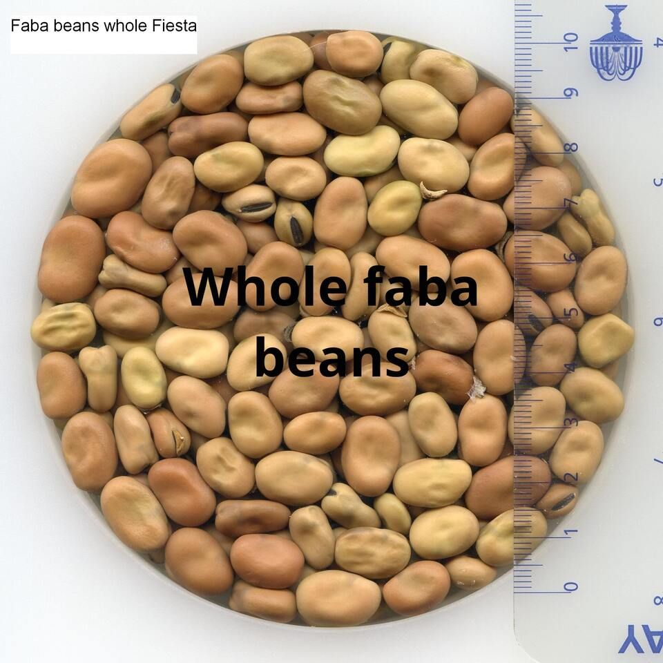  mung beans/urad whole/black gram - whole