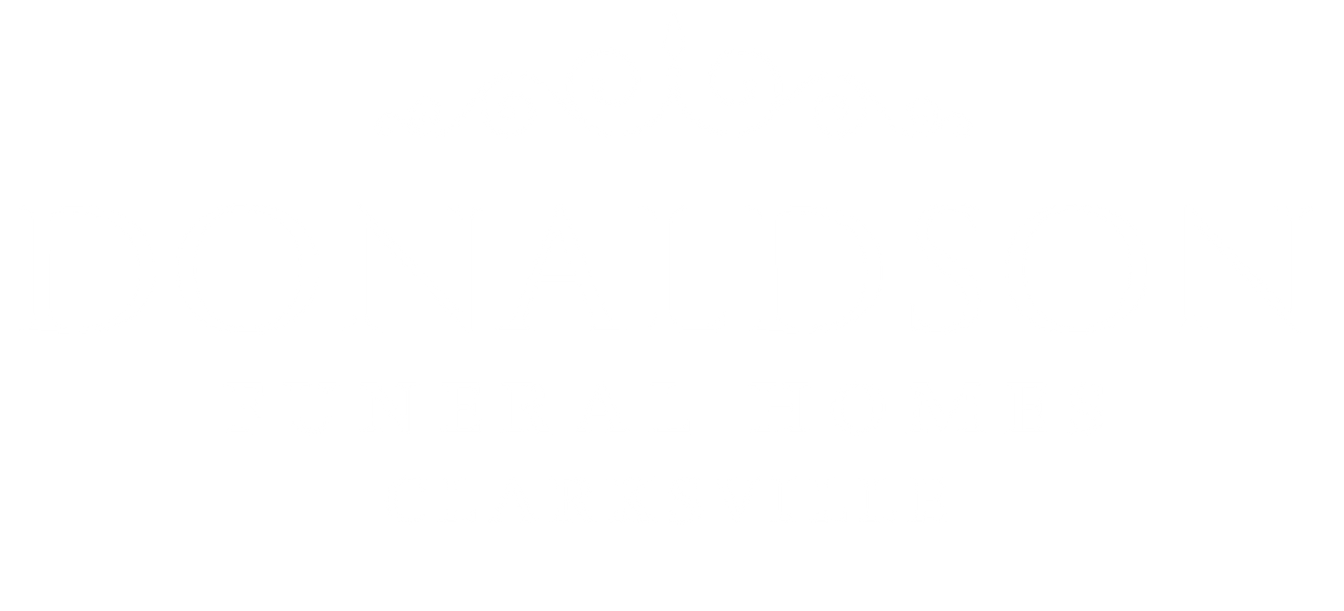 A white background with a few lines on it