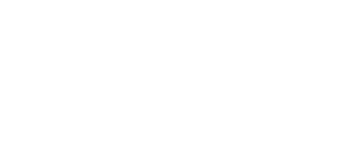 A white background with a few lines on it