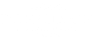 A white background with a few lines on it