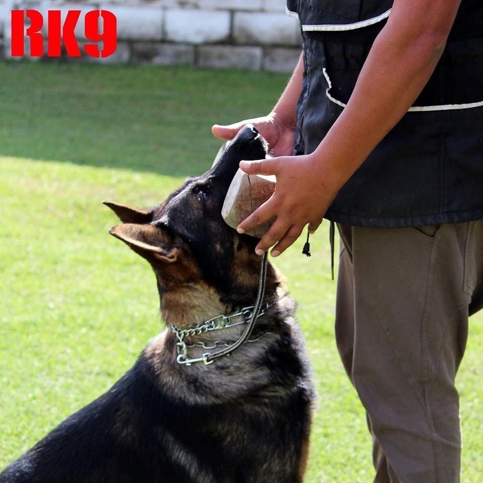 Adiestramiento  Canino Guadalajara
