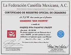 criadero de rottweiler