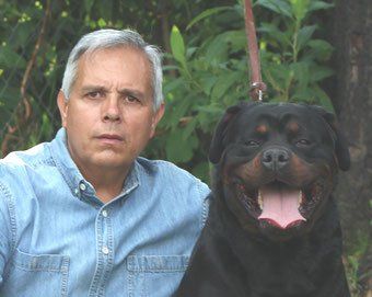 criadero de rottweiler