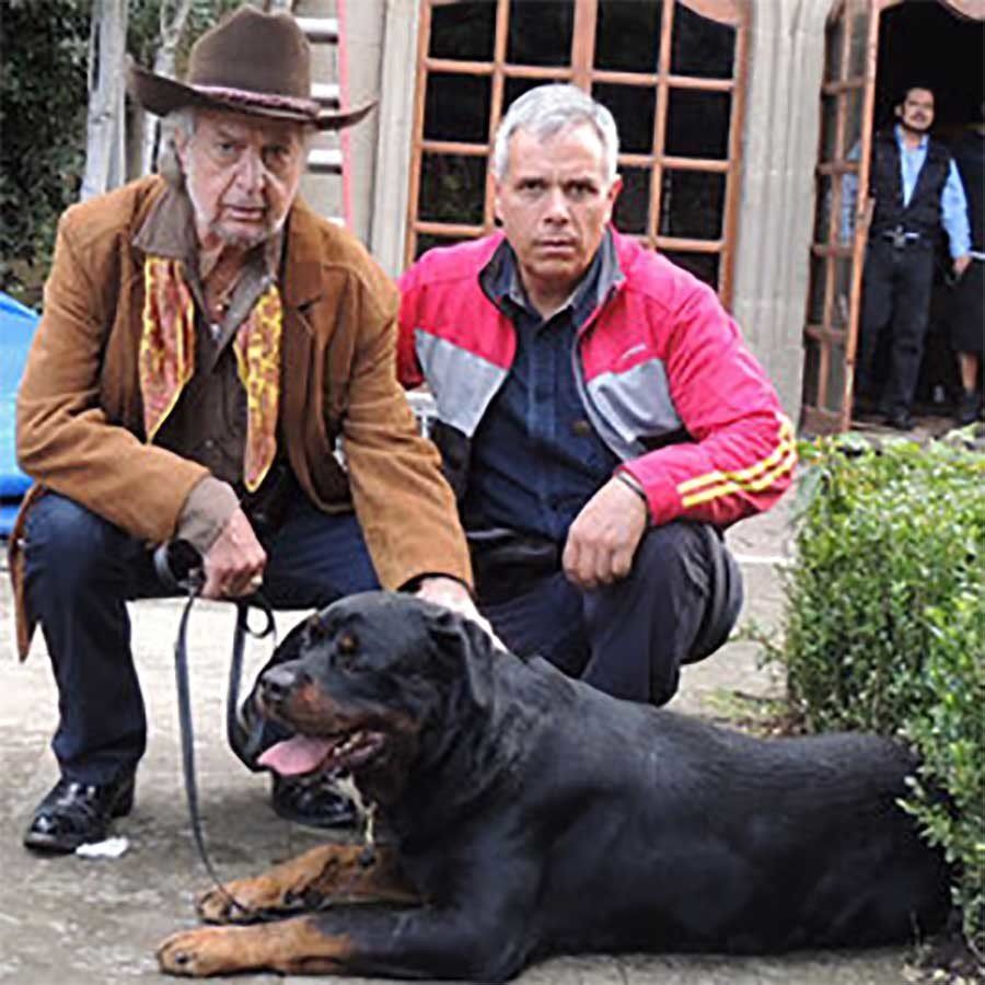 criadero de rottweiler