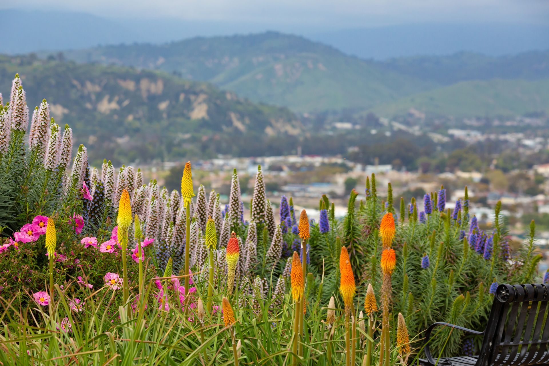 A white background with a shadow of a person on it.