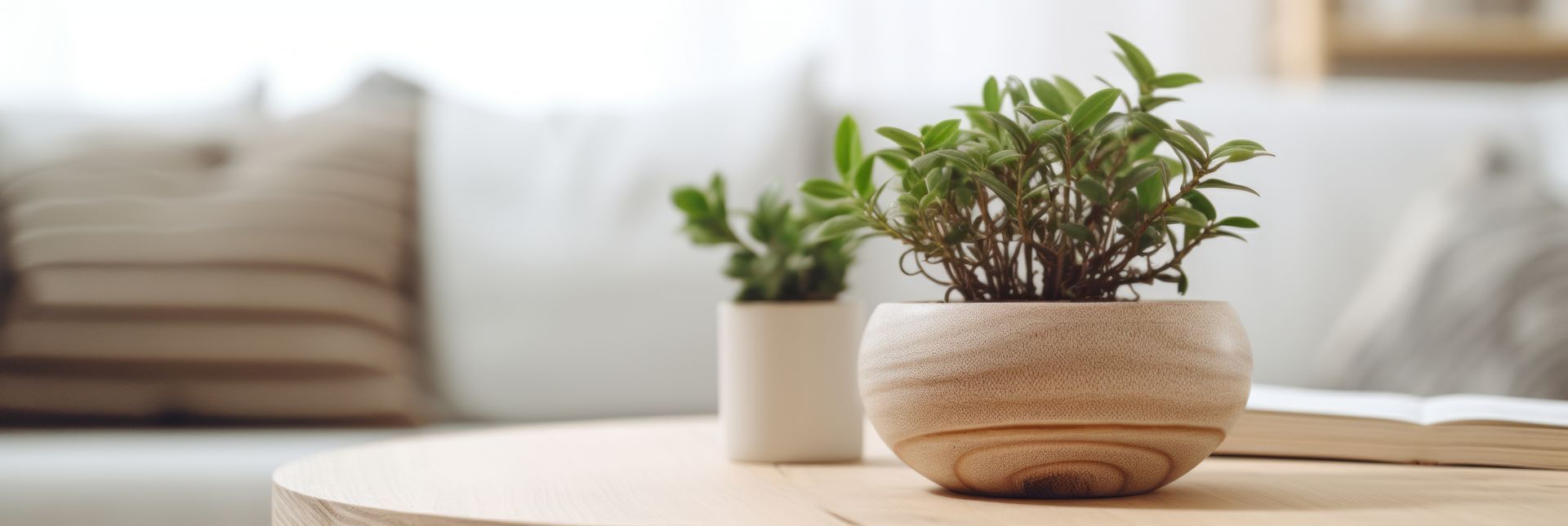 Close-up of plants in wooden pots on a table, with a blurred sofa in the background.