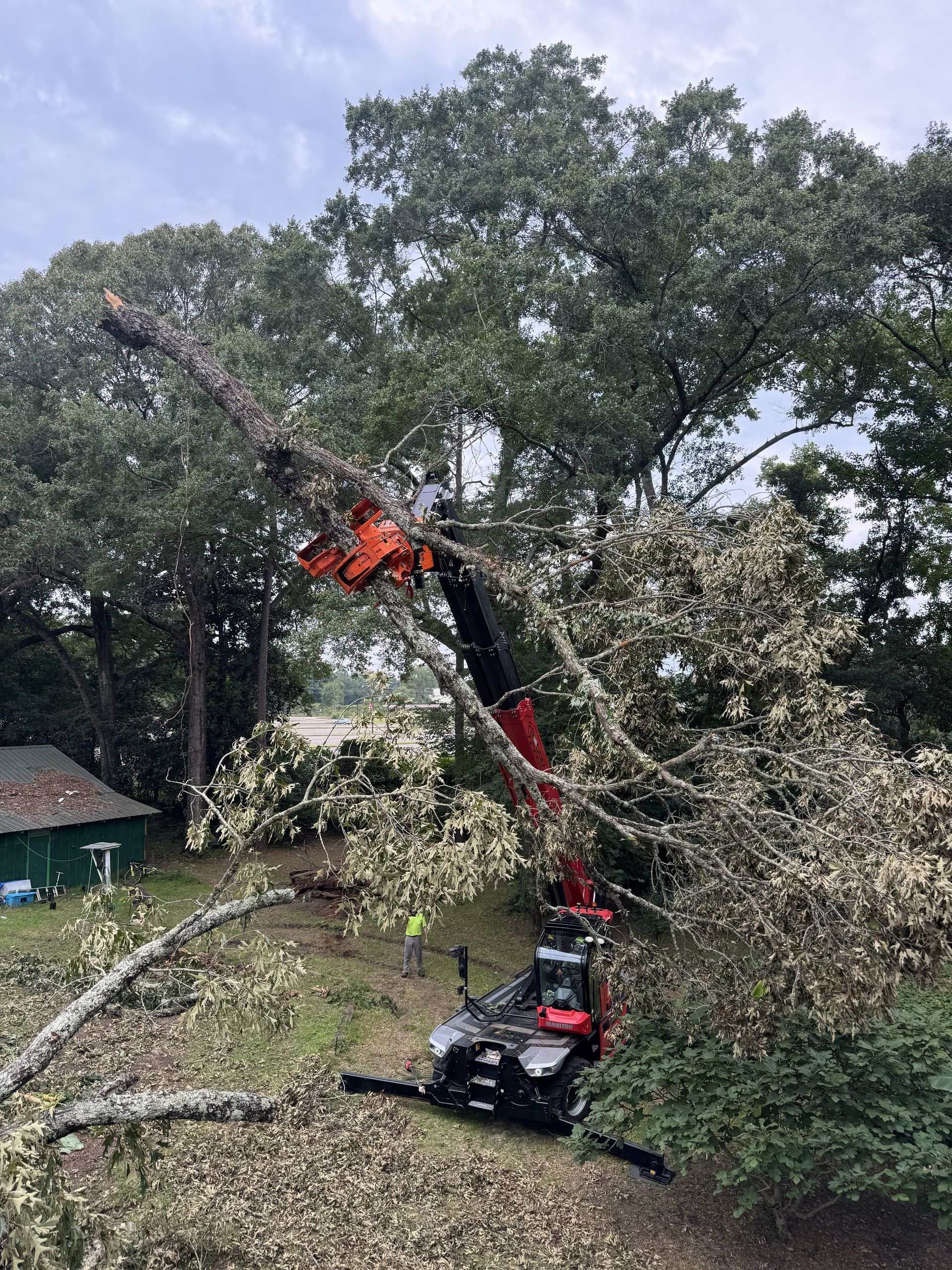 Red tree trimming machine cutting branches from a large oak tree on a cloudy day.