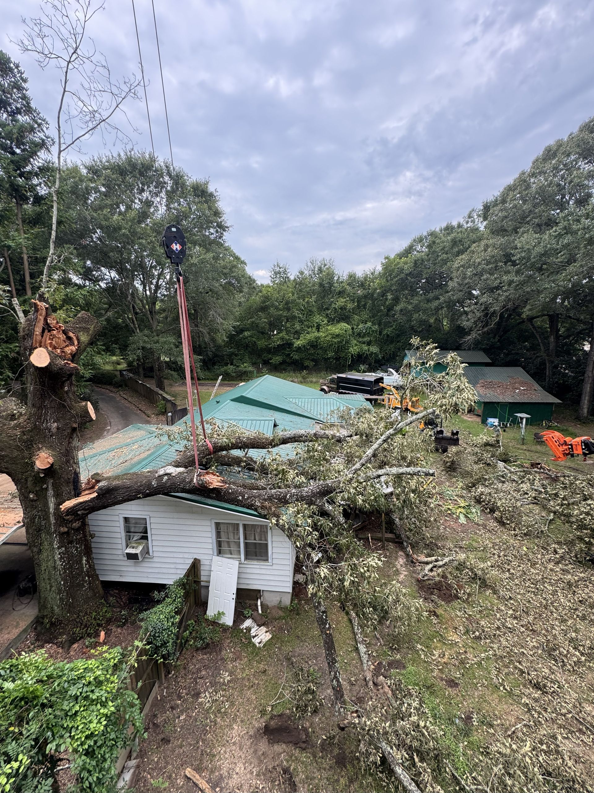 A tree being removed from a small white house's roof; crane and workers involved. Overcast day.