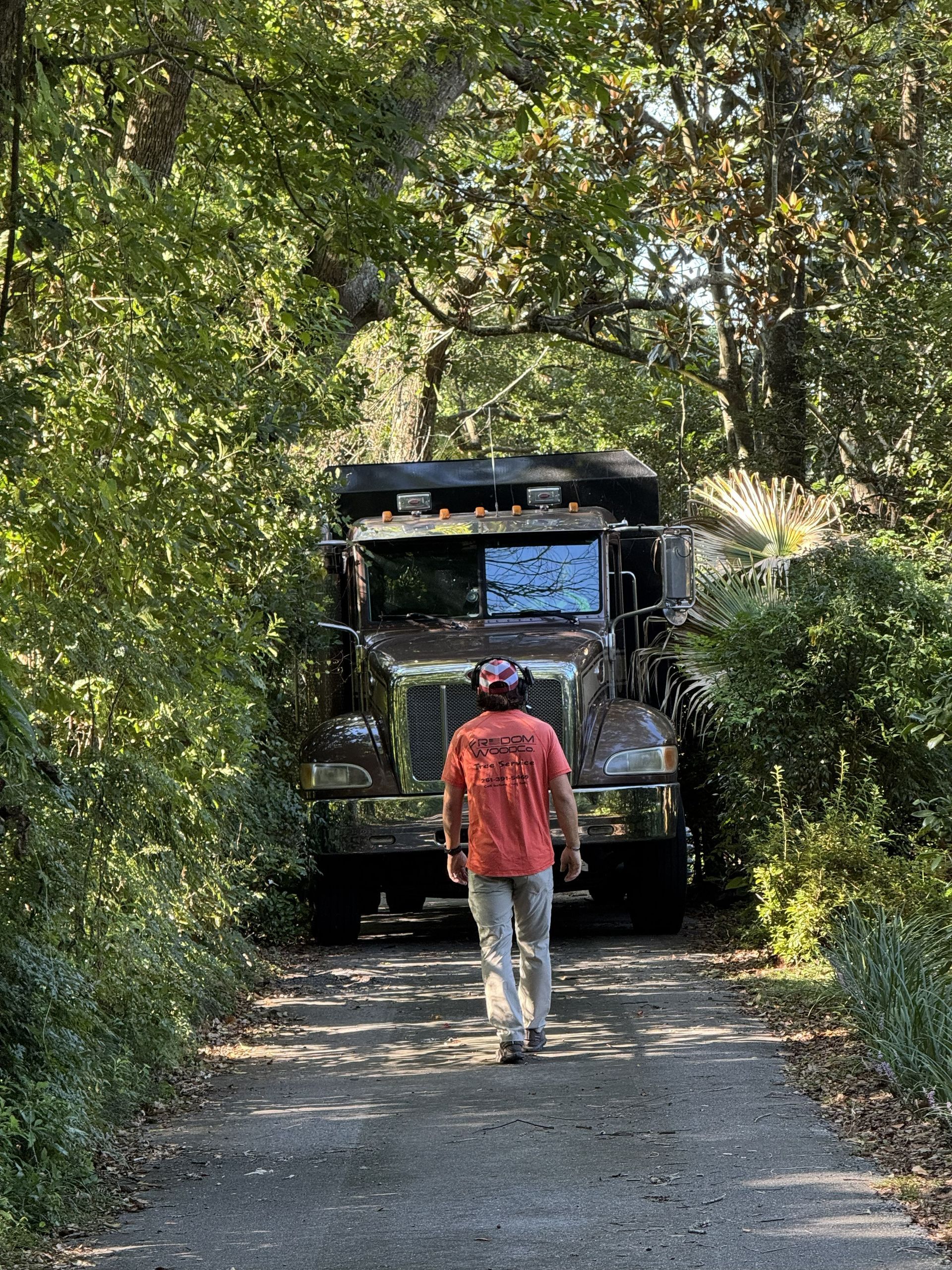 A person walks towards a large, rusty dump truck on a narrow, tree-lined road.