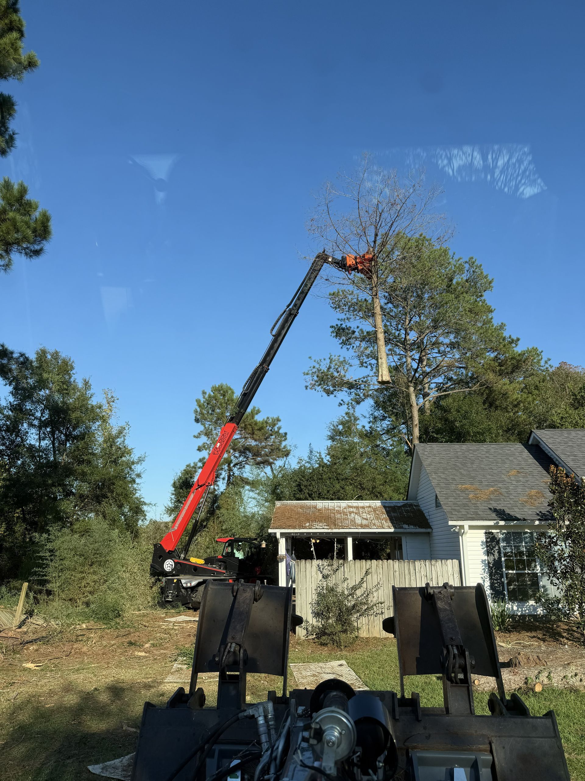 Tree being trimmed by a red crane near a house under a clear blue sky.