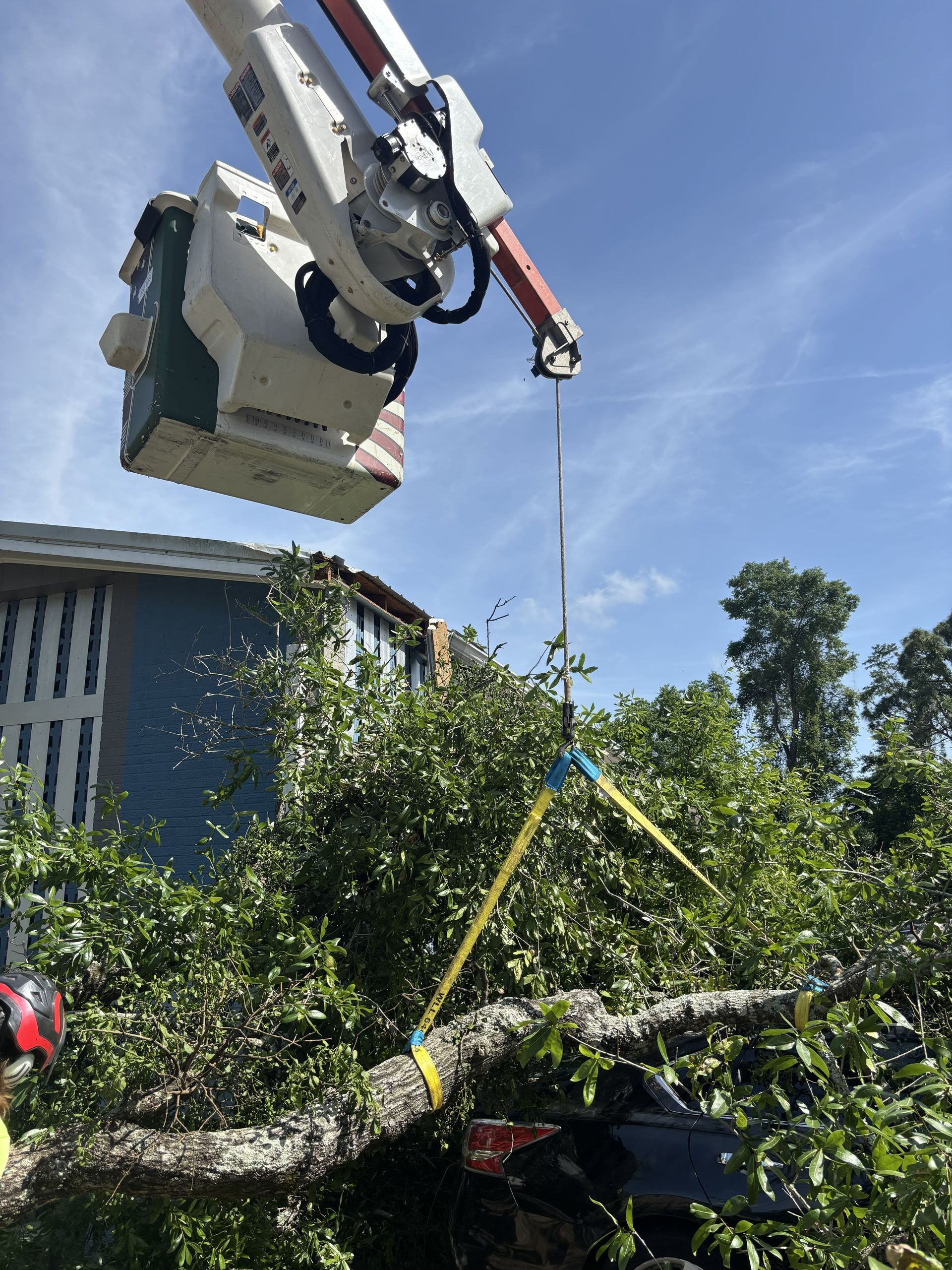 Bucket truck lifting a tree branch secured with yellow straps, near a building on a sunny day.